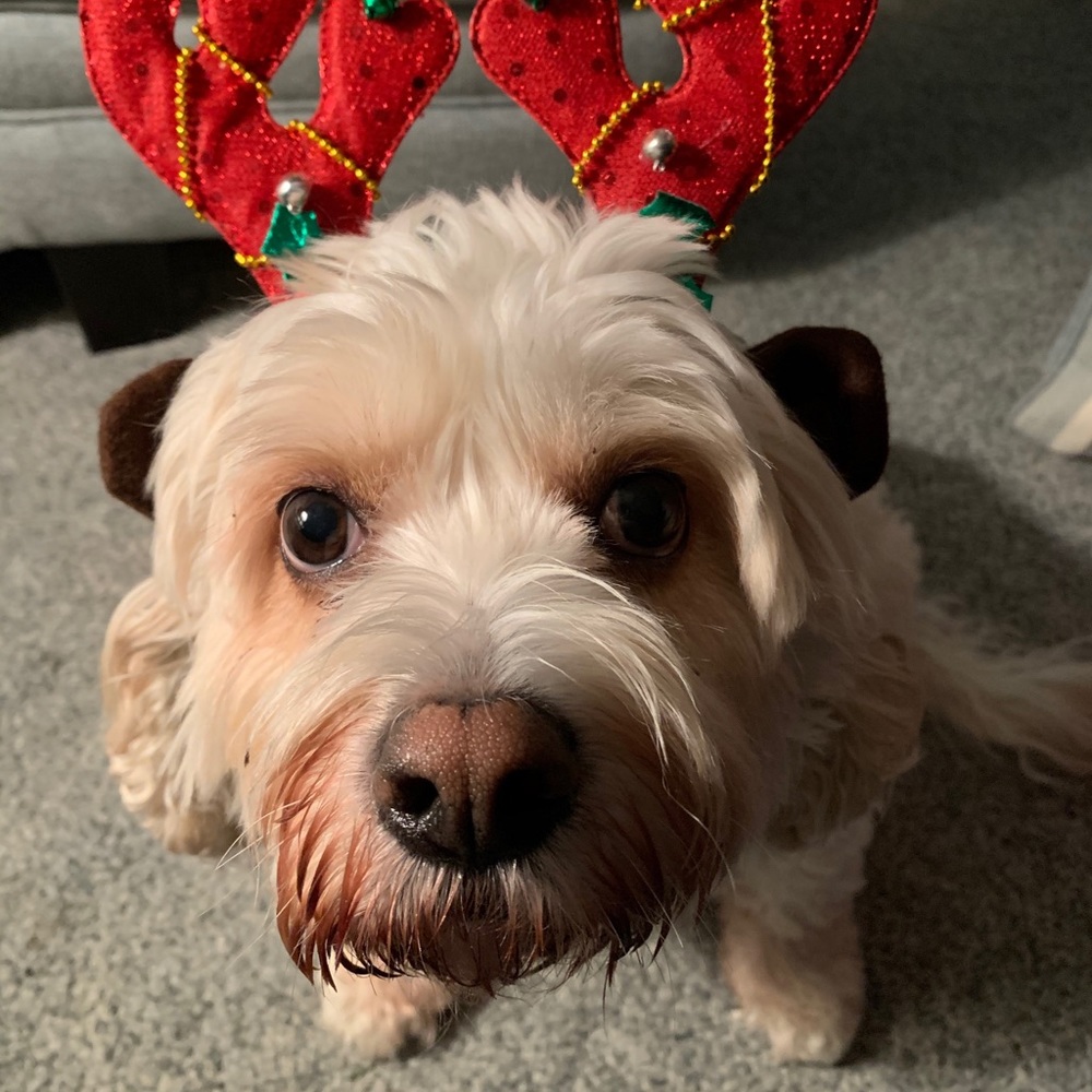 Meet your Posher, Kiera